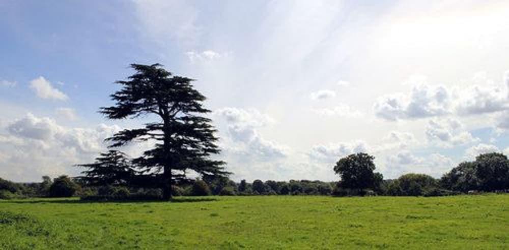 The Coach House Bed & Breakfast Winterbourne Bagian luar foto